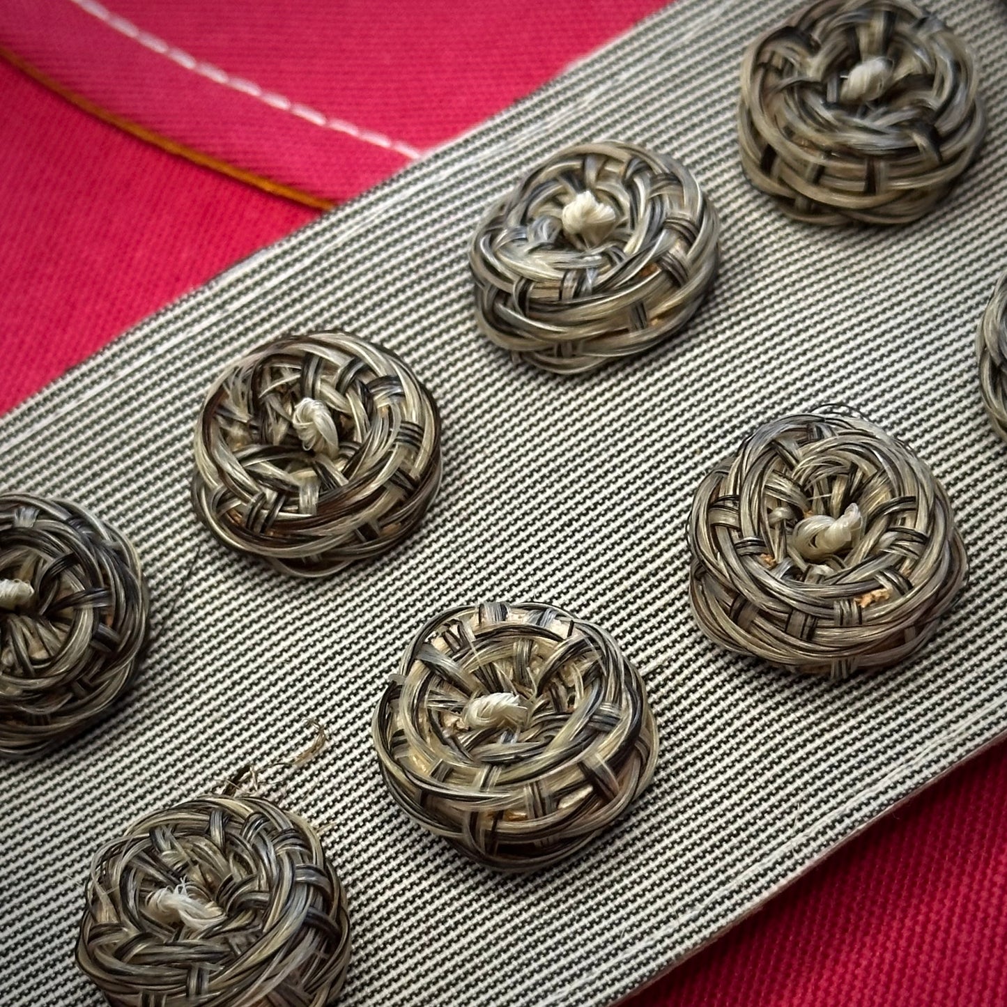 JUEGO DE CAIRELES BOTÓN DE CERDA