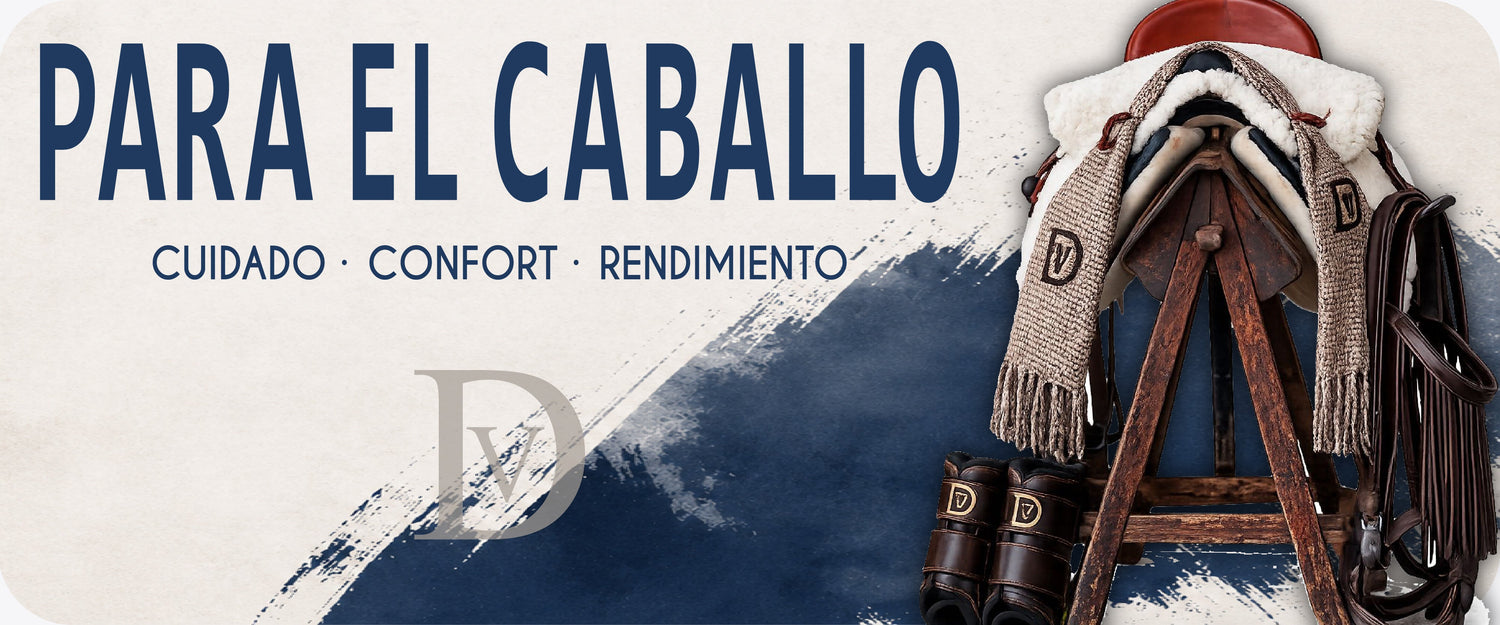 Equipamiento ecuestre Diego Ventura caballo montura cabezada