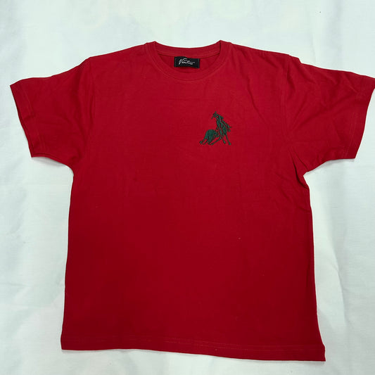 CAMISETA ROJA